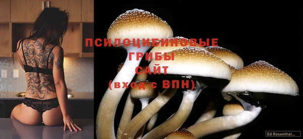 сатива Алексеевка