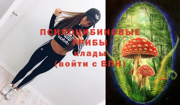 сатива Алексеевка