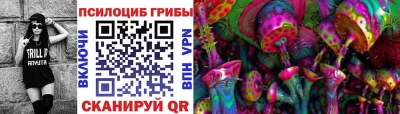 Галлюциногенные грибы Psilocybe  Орлов 