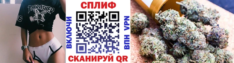 Шишки марихуана сатива  Орлов 